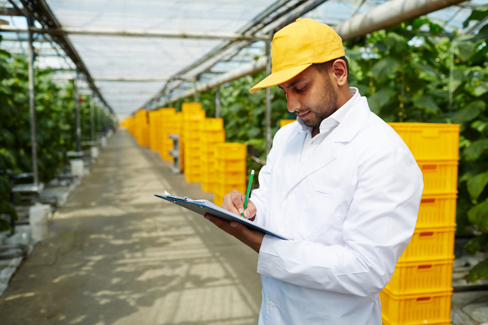 Como reduzir custos na logística de alimentos